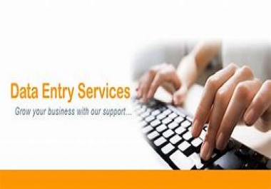 I will be your virtual assistant for any kind of Data Entry work