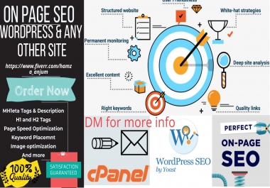Complete on page SEO for wordpress and any other site