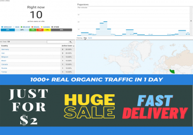 Real 5000+ Organic Traffic for Your Site in 1 Day