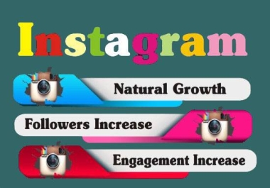 I will promote and grow your IG page organically