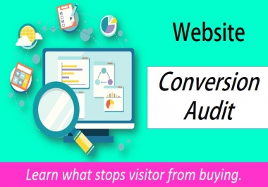 Perform Website Conversion Audit
