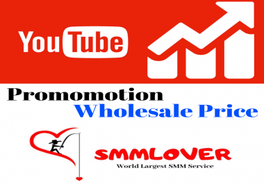 You Tube Video Visitors Promotion for Life Time Security