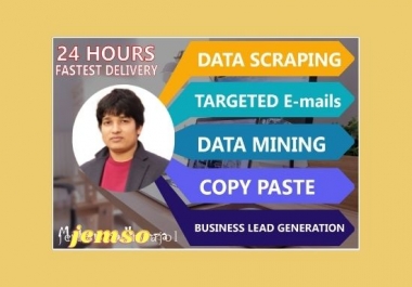 do the permanent data entry data mining data scraping copy paste job