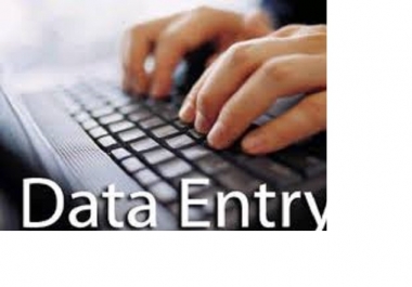 Data Entry,  Virtual Assistant and PDF Conversion