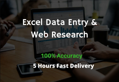 Do Excel Data Entry And Web Research Professionally