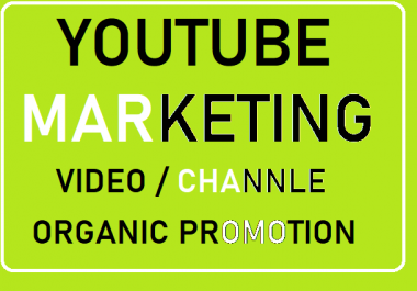 Do social media marketing management within 24 hours