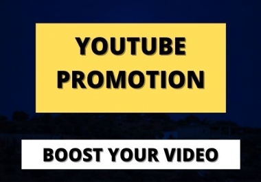 I will Do professional organic your youtube video promotion