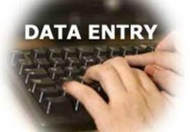 I will do all types of dataentry works