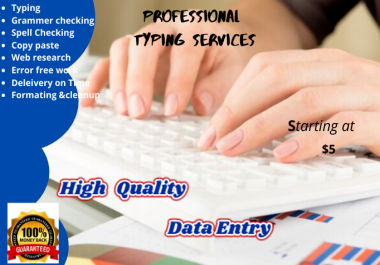 do typing, copy paste and any data entry work professionally