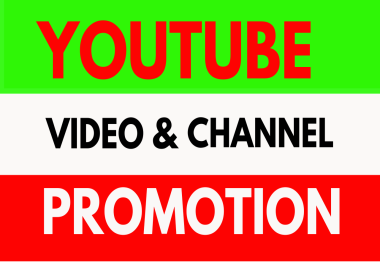 we will Do Fast You Tube video and chanel Promot by social media marketing