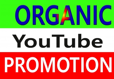 Super Fast High Quality YouTube Video Promote from real user
