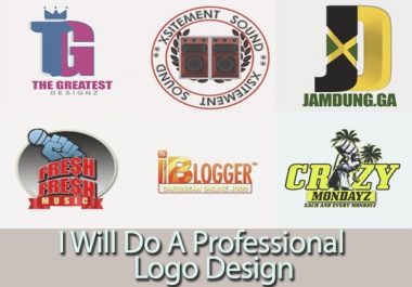 i will do a professional logo design