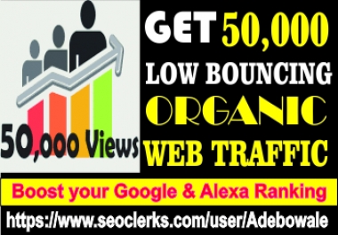 Get 50,000 Organic web traffic to your website/blog