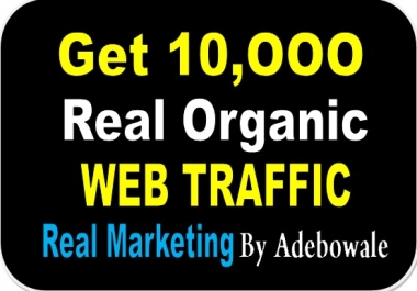 I will Drive 10,000+ Real Organic Web Traffic To our Website/Blog