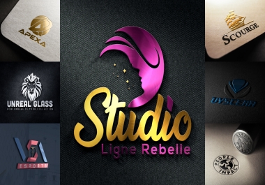 I will do 3 creative and professional logo for you