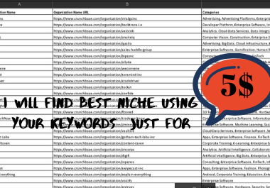 I will find Best Niche Using your Keywords