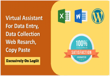 I will do data entry,  lead generation,  copy paste,  web research and excel data entry