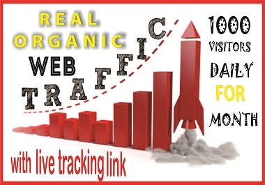 I will Expertly Provide 1000 High quality real organic web traffic for 30 days
