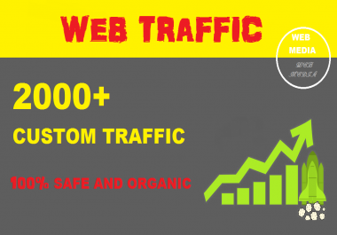 Provide 2000+ Custom Traffic on your Website