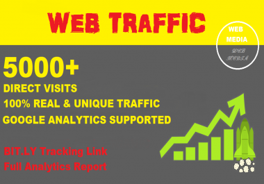 Provide 5000+ Website Traffic with Direct Visits