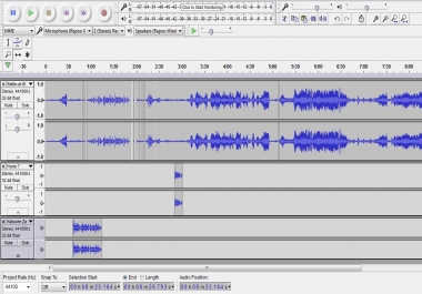 I can Edit your audio record with Audacity
