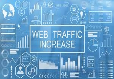 I WILL DRIVE 100,000+ SEO TARGETED Human Traffic to your Website or Blog