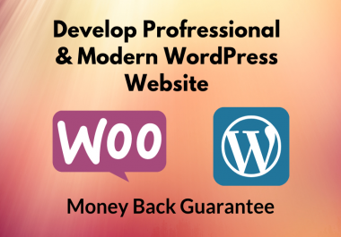 I will develop a gorgeous modern wordpress website or blog for you