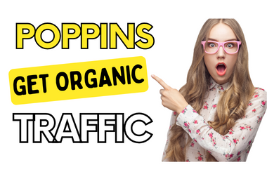 Let's drive super professional niche targeted organic advertising web traffic