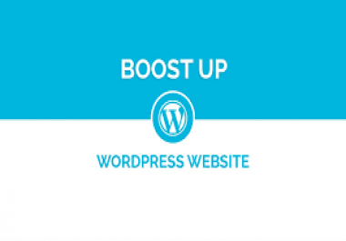 I will boostup your wordpress website