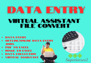 Professional Virtual Assistant for Data Entry,  Copy-Paste,  Salary Sheet and File Convert
