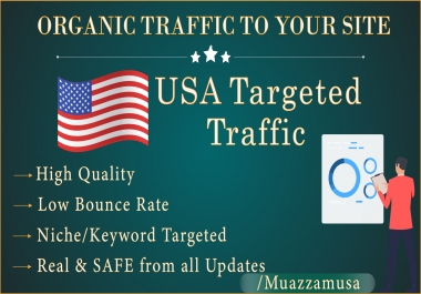 USA Niche targeted traffic for 30 days