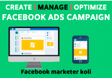 I will create,  run and manage facebook ads campaign