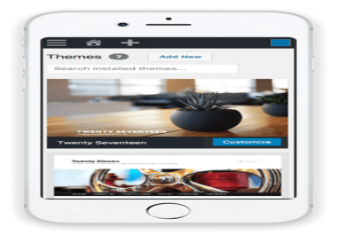 I will make a wordpress website within 2 days with free SSL CERTIFICATE
