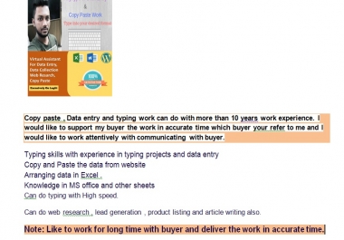 Copy paste data entry typing web research