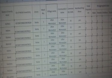 In expert Data entry, Excel, word power point