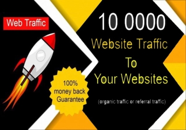 Get The USA Real 100,000 PREMIUM Visitors /Website traffic
