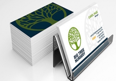 Professional 2-Sided Business Cards