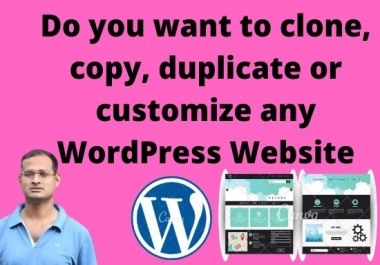 I will do website clone,  copy or duplicate a word press transfer
