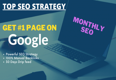 do Complete Monthly SEO Service for Google Ranking