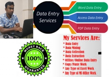 I will do fast data entry excel,  web search within 16 hours