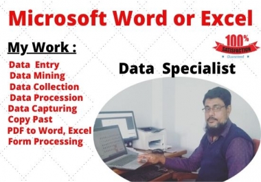 I Will Do Any Kind Of Data Entry,  Excel Entry work and be your virtual assistant for