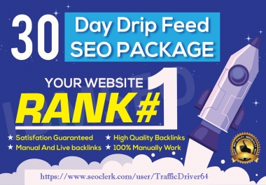 I will do 30 days drip feed 20 Do Follow Blog Comments SEO link building service daily
