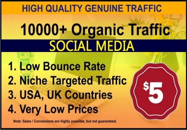 I will send 10,000 analytic website traffic from social media