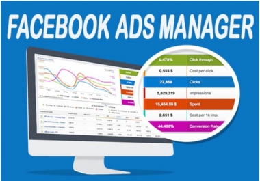 I will manage Your facebook Business Page and create FB ads