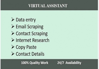 i will do any kind of data entry work, internet search