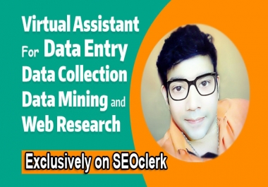 I will be your virtual assistant for data entry,  data mining,  copy paste,  web research