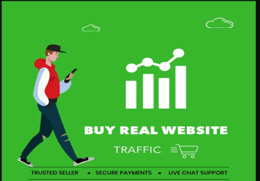 Increase Website Traffic 30Days Get Targeted & Quality Web Traffic