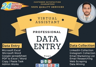 I will be an ideal Virtual Assistant,  Data Entry,  Data Collection,  Data Mining