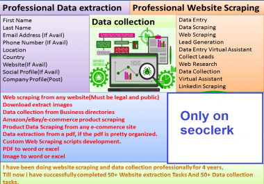 fast manually data entry, web research and lead generation