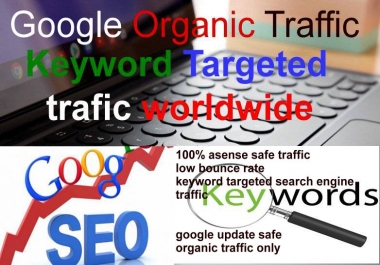 Keyword Targeted Google Organic Traffic with Low Bounce Rate for your website